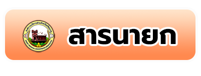 สารนายก